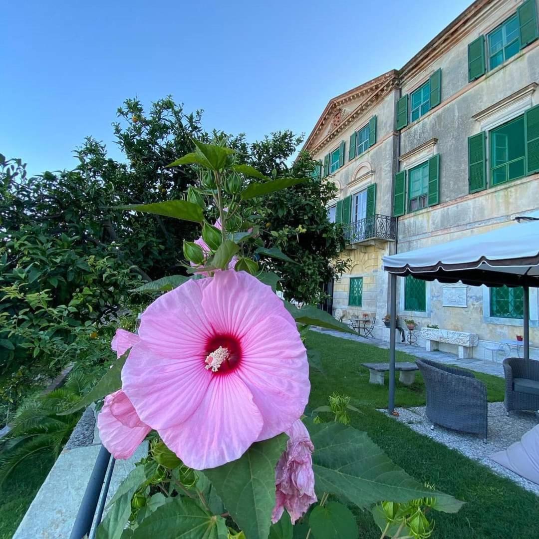 Agriturismo Villa Cavallini Camaiore Exterior photo